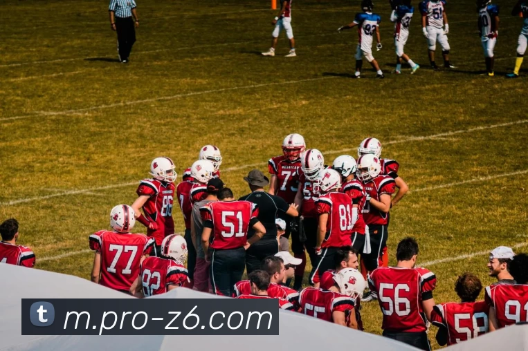 App Interface Preview