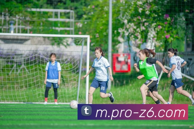 尊龙凯时APP 封面图